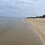 IMG_6594.JPG
