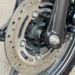 IMG_3993.jpeg