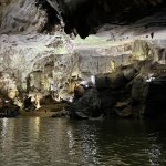 IMG_6772.JPG