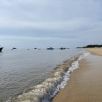IMG_6842.JPG