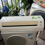 IMG_5367.jpeg