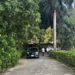 IMG_6027.jpeg