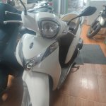IMG_3995.jpeg