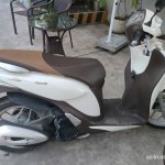IMG_3996.jpeg