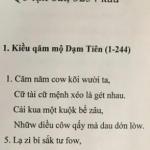 cuenkieu.png