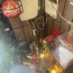 IMG_7337.jpeg