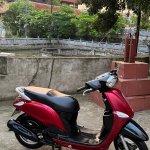 IMG_4001.jpeg