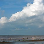 QL2010-5.jpg