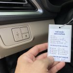 IMG_1957.jpeg