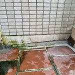 IMG_6442.jpeg