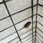 IMG_6413.jpeg
