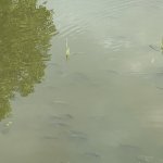 IMG_5683.jpeg