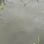 IMG_5681.jpeg