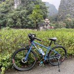 IMG_0174.jpeg