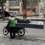 IMG_5350.jpeg