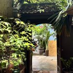 IMG_6056.jpeg