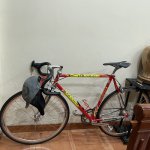 IMG_5552.jpeg