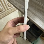 IMG_1266.jpeg