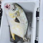 IMG_8473.jpeg