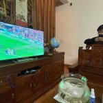 IMG_3687.jpeg