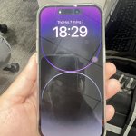 IMG_3732.jpeg