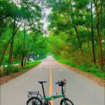 IMG_4636.jpeg