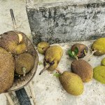 IMG_0058.jpeg