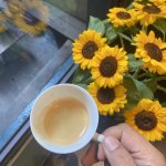 IMG_8794.jpeg