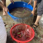 IMG_8576.jpeg