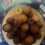 IMG_3957.jpeg