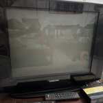 IMG_2095.jpeg