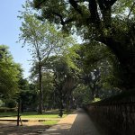 IMG_6071.jpeg