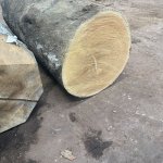 IMG_1077.jpeg