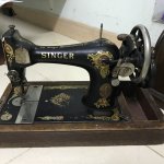 IMG_2951.jpeg
