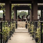 VÀNG NHẸ-31.jpg