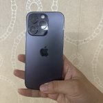 IMG_1329.jpeg