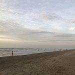 1738F158-8A7E-4590-BBC8-E2870177F2AC.jpeg