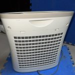 IMG_8038.jpeg