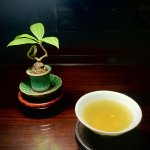IMG_6913.jpeg