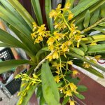 IMG_0726.jpeg