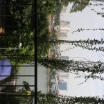 IMG_20240606_220526.jpg