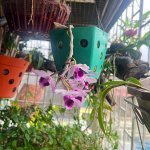 IMG_0625.jpeg