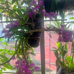 IMG_0627.jpeg