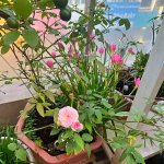 IMG_0624.jpeg