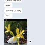 IMG_0742.jpeg