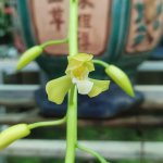IMG_0743.jpeg