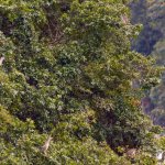 DSCF0470.JPG