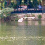 DSCF0461.JPG