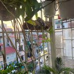IMG_0647.jpeg