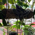 IMG_0648.jpeg